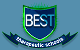 Best Therapeutic Schools